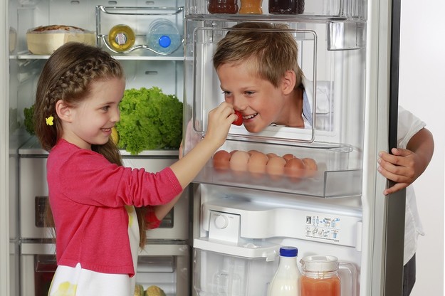 Phương pháp khắc phục tủ lạnh kêu to mà không cần tốn sức